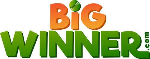bigwinner-casino-online-logo.png